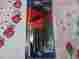 037516102133 Set Hex Folding Key 13pc - Tool Eklind 10213 Sets