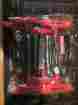 46292 Craftsman 7 Pc Standard T-handle Ball End Hex Key Set Free Shipping Never Used
