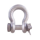 00043927401857 490-m851g Cm Columbus Mckinnon Bolt Nut Anchor Shackles In
