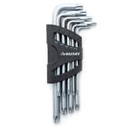 Hlamtxk9pc Husky Magnetic Tamperproof Torx