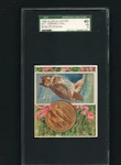 1890 N37 Allen & Ginter Birds Of America Horned Owl Sgc 40 Key Card 7163. Fixed Price $299.00.
