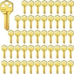 KW1 Brass Finish 5-PIN Blanks Uncut Keys Pack Of 50. Fixed Price $22.22.