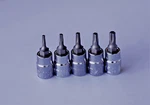 Craftsman Torx Bit Star Socket Set 5PC. 1/4" Drive. Fixed Price $12.90.