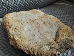 Native American Table Top Polishing Stone. Allen County Kentucky Creek Find. Fixed Price $12.00.