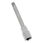 Performance Tool W83182 1/2 Drive 10 Vw/audi Head Bolt Socket, Silver. Fixed Price $18.98.