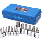 Casoman 13-PIECE Metric Hex Bit Socket Set. Fixed Price $26.39.