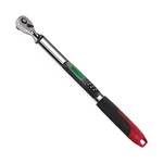 Acdelco ARM313-2A 1/4" Digital Torque Wrench (1.5-30 Nm). Fixed Price $216.05.